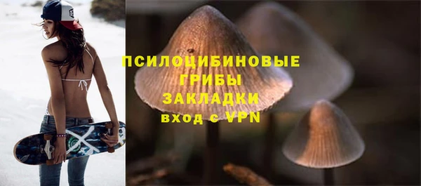 ГАЛЛЮЦИНОГЕННЫЕ ГРИБЫ Алексин