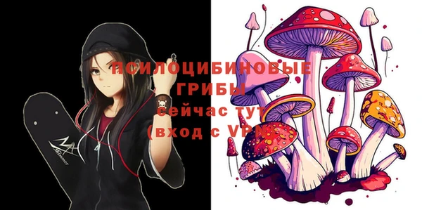 стаф Кинешма