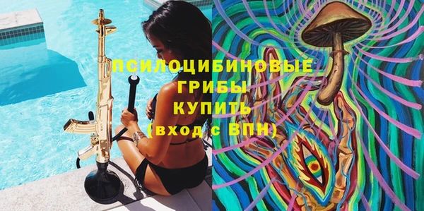 ГАЛЛЮЦИНОГЕННЫЕ ГРИБЫ Алексин